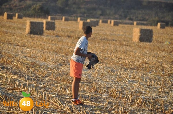 7amam lud monir 908 (33).JPG